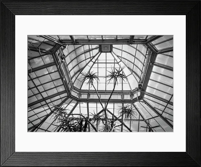 Framed Print : New York, Bronx, NY Botanical Garden, Enid A. Haupt Conservatory, Deserts of the Americas Gallery Framed Print : New York, Bronx, NY Botanical Garden, Enid A. Haupt Conservatory, Deserts of the Americas Gallery
