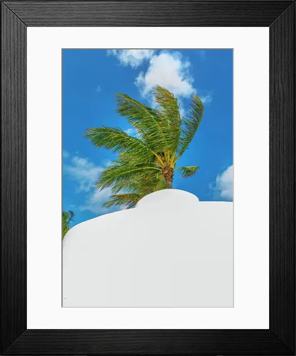 Framed Print : Florida, Fort Lauderdale, Beach with palm trees Framed Print : Florida, Fort Lauderdale, Beach with palm trees