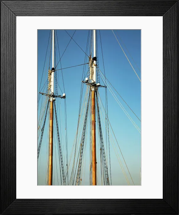 Framed Print : Rhode Island, Newport, Ships Masts at Harbor Island Marina Framed Print : Rhode Island, Newport, Ships Masts at Harbor Island Marina