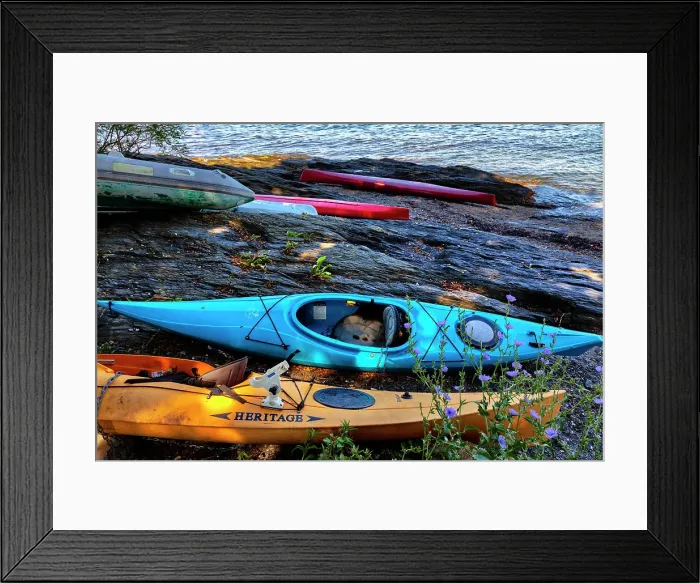 Framed Print : Rhode Island, Newport, kayaks on grass Framed Print : Rhode Island, Newport, kayaks on grass