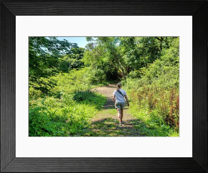 Framed Print : Rhode Island, Newport, Leisure walk at Castle Hill Inn Framed Print : Rhode Island, Newport, Leisure walk at Castle Hill Inn