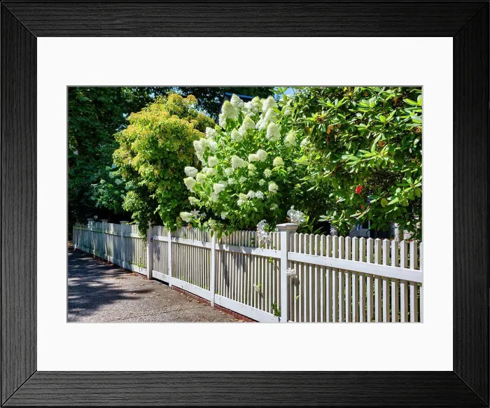 Framed Print : Rhode Island, Newport, Typical fence and garden