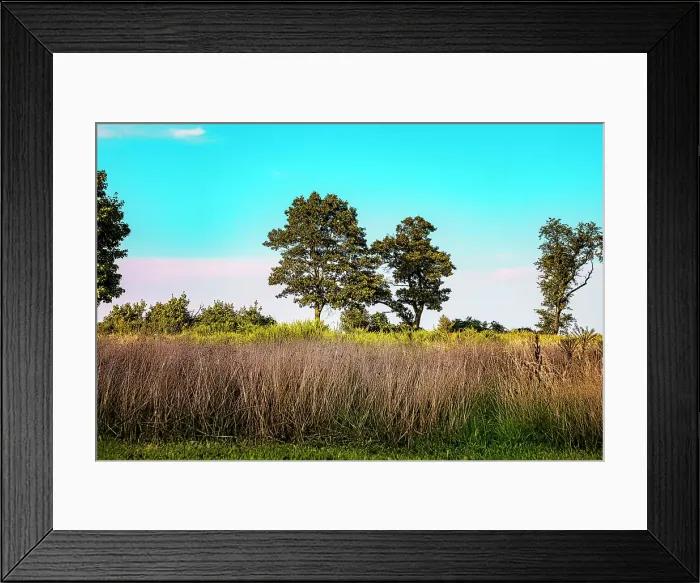 Framed Print : Landscape with trees Framed Print : Landscape with trees