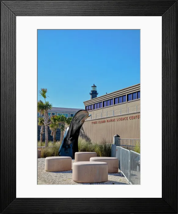 Framed Print : Georgia, Tybee Island, Tybee Island Marine Science Center Framed Print : Georgia, Tybee Island, Tybee Island Marine Science Center