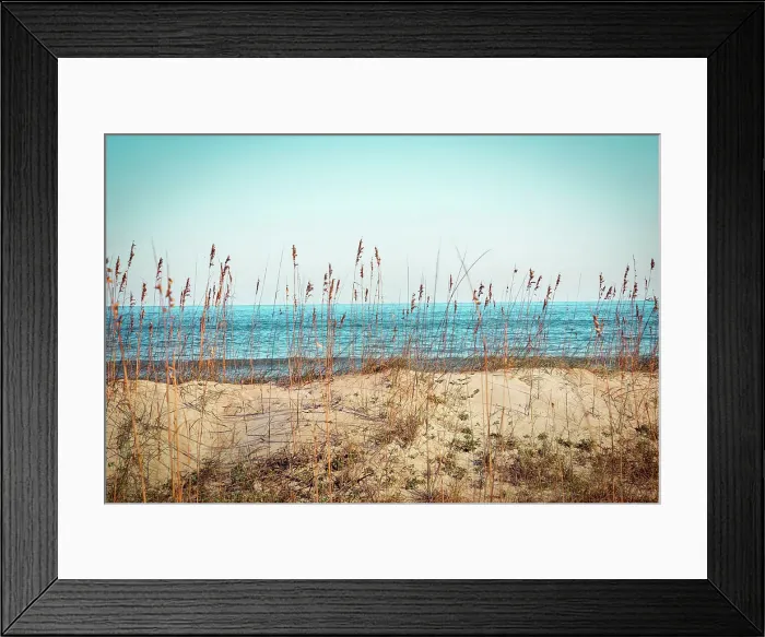 Framed Print : Georgia, Tybee Island, North Beach seen through sea oats Framed Print : Georgia, Tybee Island, North Beach seen through sea oats
