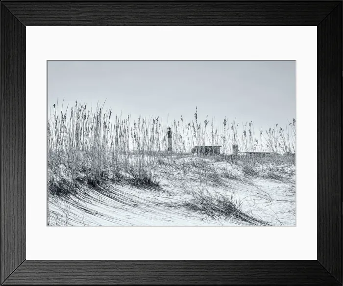 Framed Print : Georgia, Tybee Island, Tybee Island, Lighthouse seen through tall sea oats Framed Print : Georgia, Tybee Island, Tybee Island, Lighthouse seen through tall sea oats