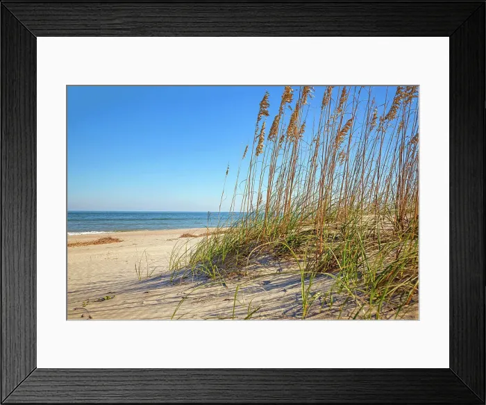 Framed Print : Georgia, Tybee Island, sea oats on beach dunes