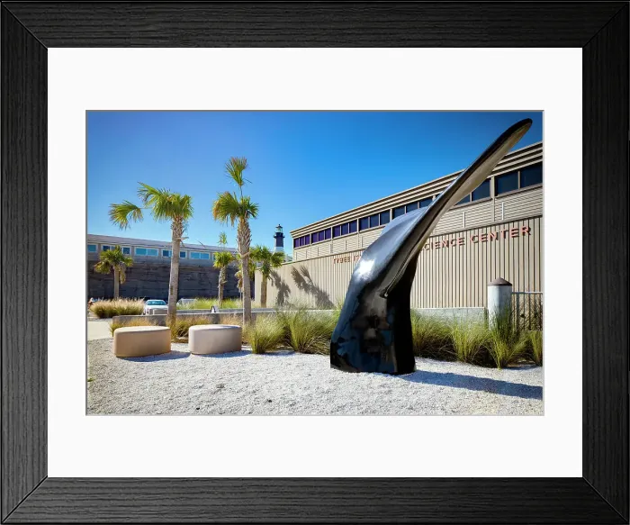 Framed Print : Georgia, Tybee Island, Tybee Island Marine Science Center