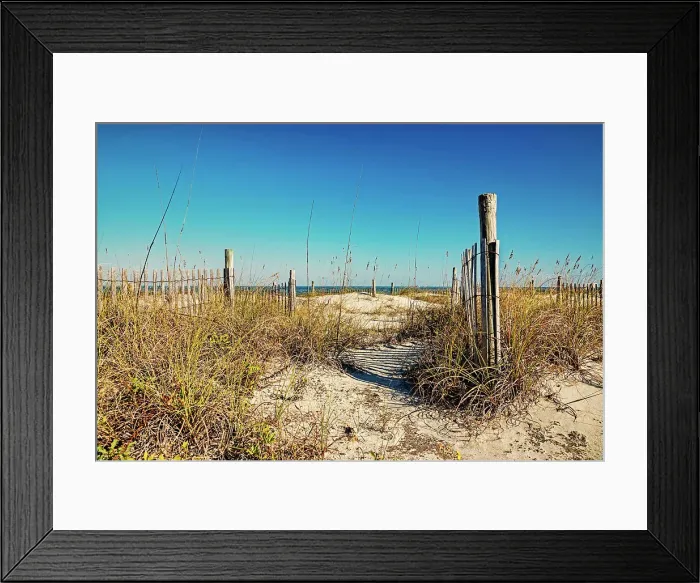 Framed Print : Georgia, Tybee Island, beach scene with wooden fence on sand dunes Framed Print : Georgia, Tybee Island, beach scene with wooden fence on sand dunes