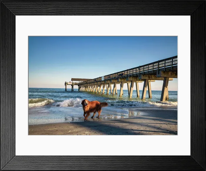Framed Print : Georgia, Tybee Island, Tybee Pier and beach with dog