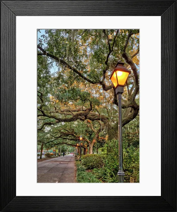 Framed Print : Georgia, Savannah