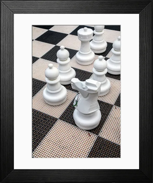 Framed Print : Bermuda, Rosewood Bermuda Hotel, Palm Court, Large chess game