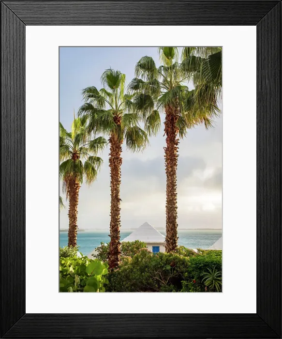 Framed Print : Bermuda, architectural detail, white rooftops and palm trees Framed Print : Bermuda, architectural detail, white rooftops and palm trees