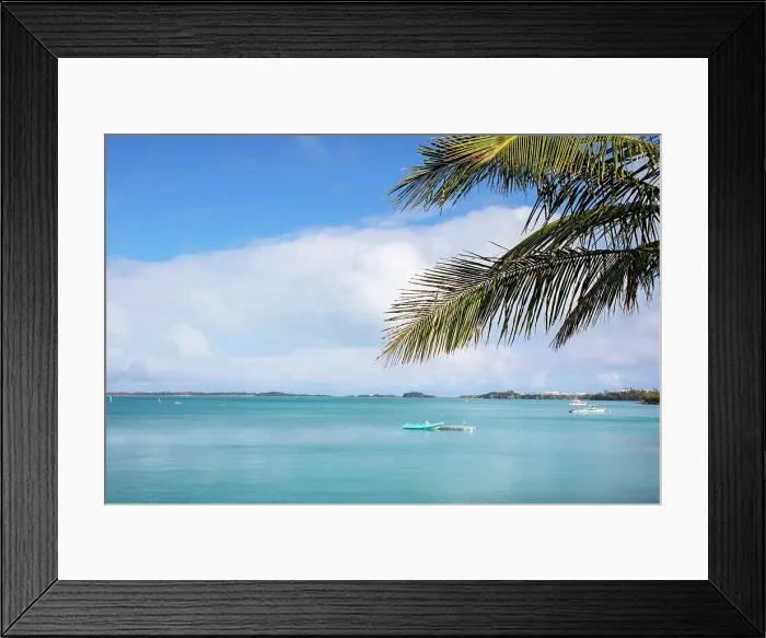 Framed Print : Bermuda, South Shore, View of boats in cerulean ocean, and palm tree in the foreground Framed Print : Bermuda, South Shore, View of boats in cerulean ocean, and palm tree in the foreground