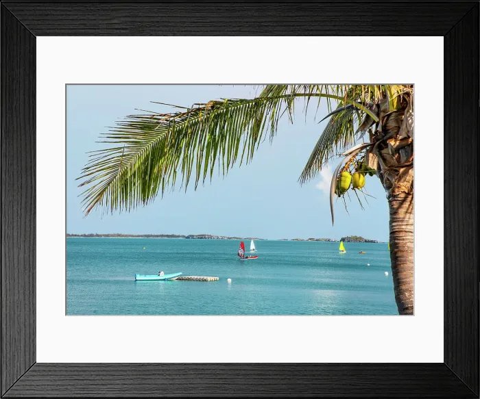Framed Print : Bermuda, South Shore, view of aquamarine ocean and boats with palm tree in the foreground Framed Print : Bermuda, South Shore, view of aquamarine ocean and boats with palm tree in the foreground