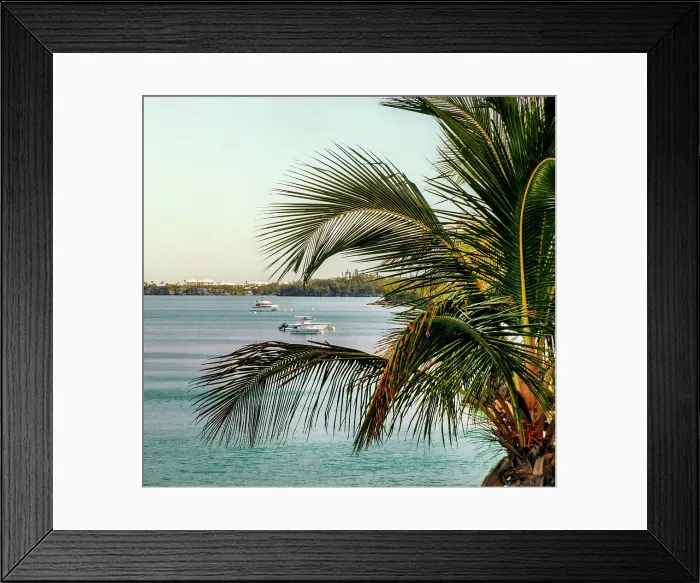 Framed Print : Bermuda, South Shore, boats and palm tree fronds in foreground