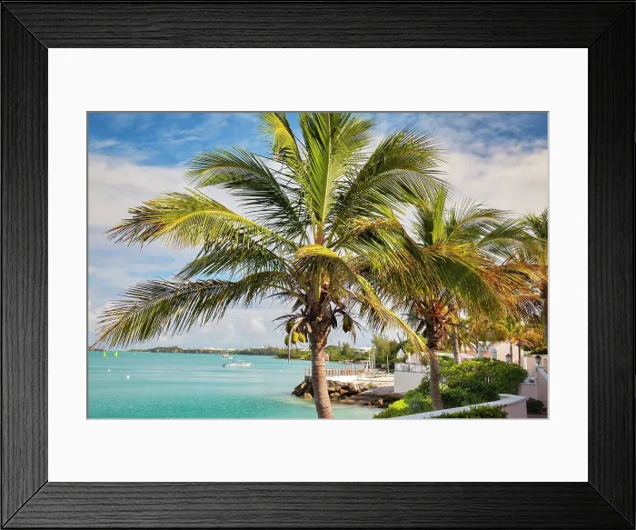 Framed Print : Bermuda, South Shore, boats and palm tree in foreground Framed Print : Bermuda, South Shore, boats and palm tree in foreground