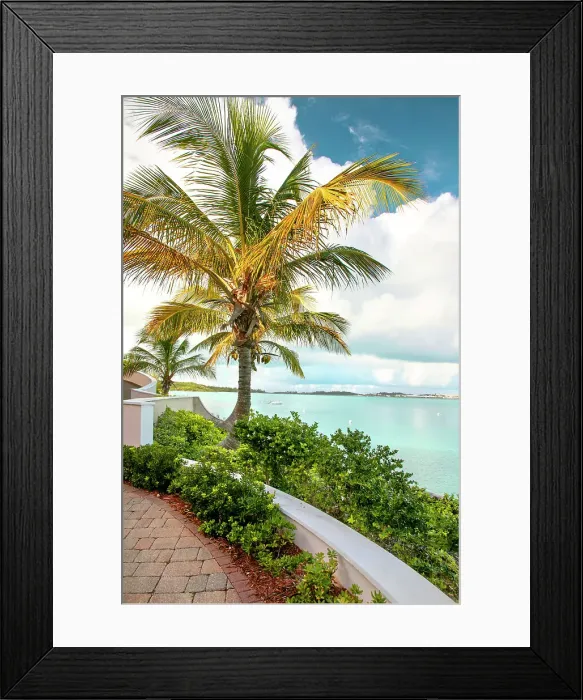 Framed Print : Bermuda, South Shore, view of boats and aquamarine ocean with palm tree