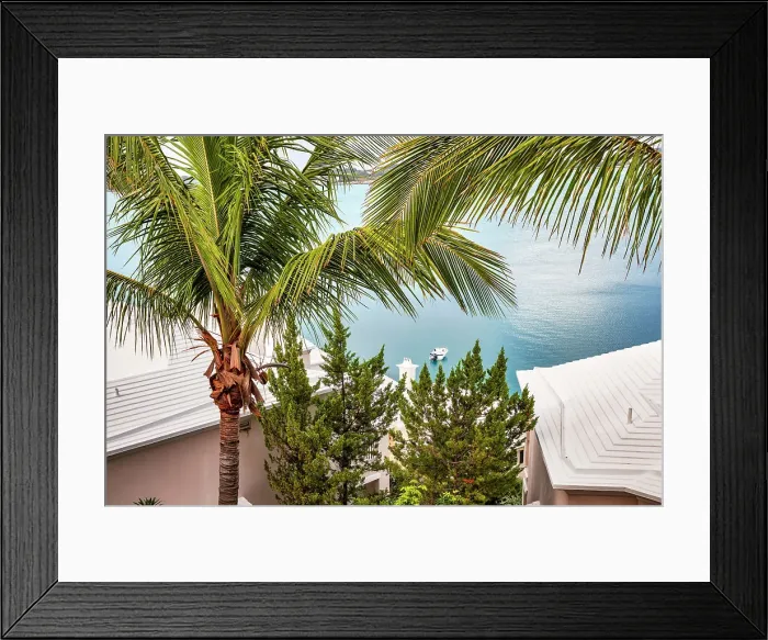 Framed Print : Bermuda, Castle Harbor views with palm trees and buildings iconic white rooftops Framed Print : Bermuda, Castle Harbor views with palm trees and buildings iconic white rooftops