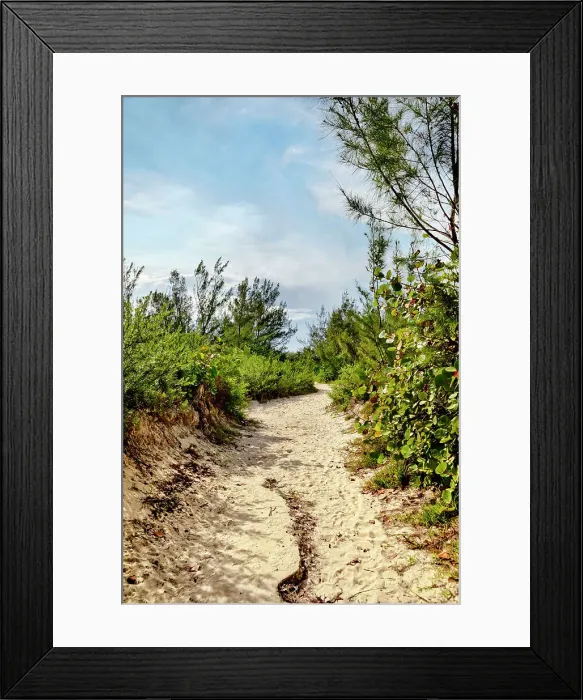 Framed Print : Bermuda, Secluded Beach path Framed Print : Bermuda, Secluded Beach path