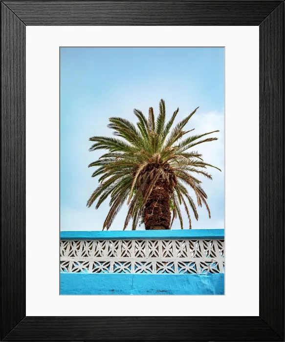 Framed Print : Bermuda, Saint George, Palm tree behind colorful wall Framed Print : Bermuda, Saint George, Palm tree behind colorful wall