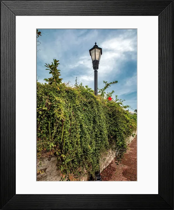 Framed Print : Bermuda, Saint George, Wall covered in vegetation and Street Lamp Framed Print : Bermuda, Saint George, Wall covered in vegetation and Street Lamp