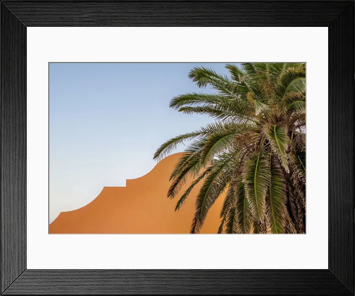 Framed Print : Bermuda, Typical colorful building with Palm tree in foreground Framed Print : Bermuda, Typical colorful building with Palm tree in foreground