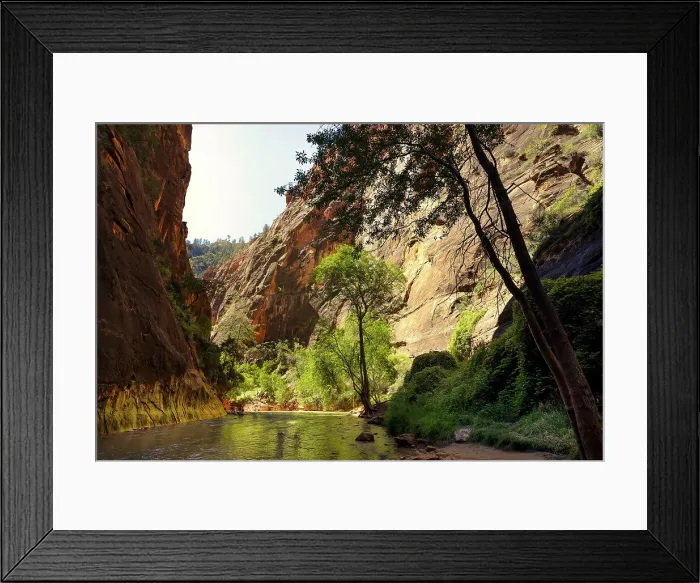 Framed Print : Utah, Zion National Park The Narrows Framed Print : Utah, Zion National Park The Narrows