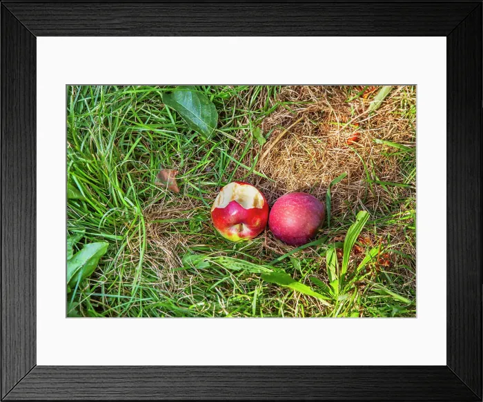 Framed Print : New York, Hopewell Junction, Fishkill Farms