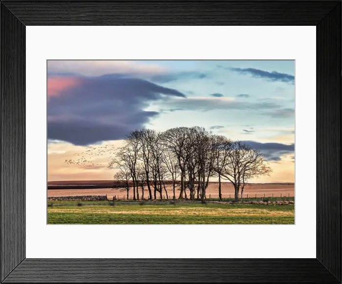 Framed Print : Scotland, Highland, Tarbat, country road with bare winter trees Framed Print : Scotland, Highland, Tarbat, country road with bare winter trees