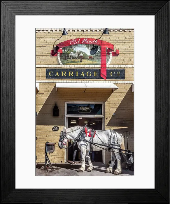 Framed Print : South Carolina, Charleston, Mule Carriage tour Framed Print : South Carolina, Charleston, Mule Carriage tour