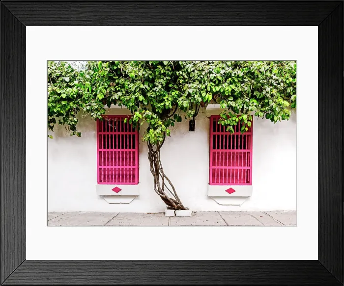 Framed Print : Colombia, Cartagena, typical colonial architecture, windows with tree Framed Print : Colombia, Cartagena, typical colonial architecture, windows with tree