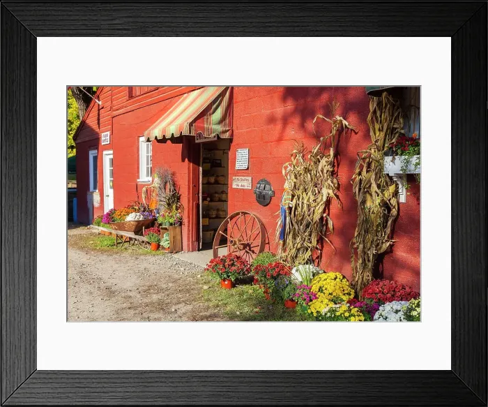 Framed Print : New York, Warwick, Masker Orchards apple picking farm Framed Print : New York, Warwick, Masker Orchards apple picking farm