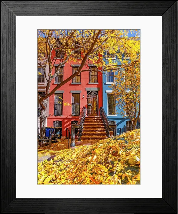 Framed Print : New York City, Brooklyn, Fort Greene, brownstones, exterior, fall Framed Print : New York City, Brooklyn, Fort Greene, brownstones, exterior, fall