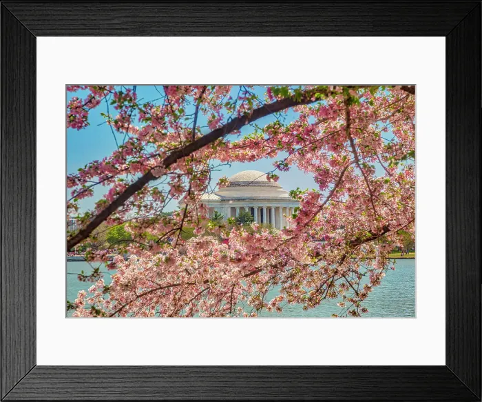 Framed Print : Washington, D.C. Jefferson Memorial During Springtime