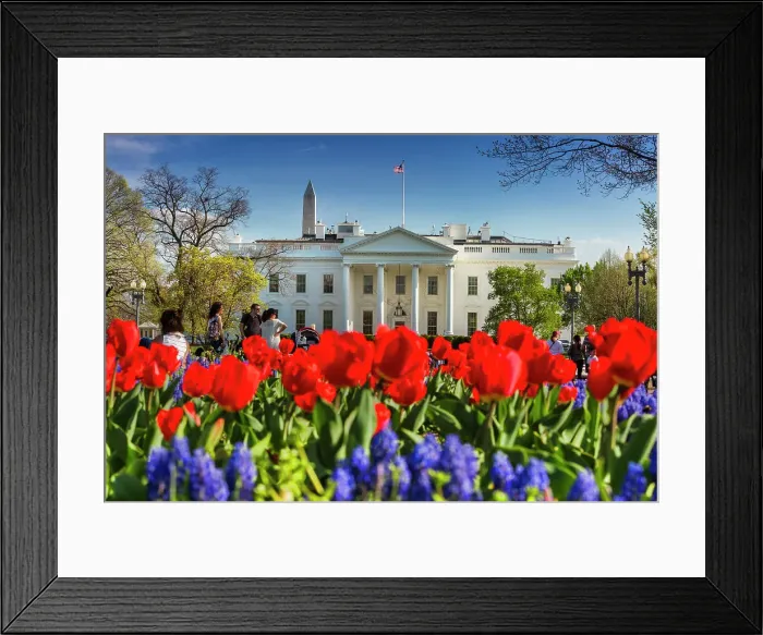 Framed Print : Washington, D.C. The White House Framed Print : Washington, D.C. The White House