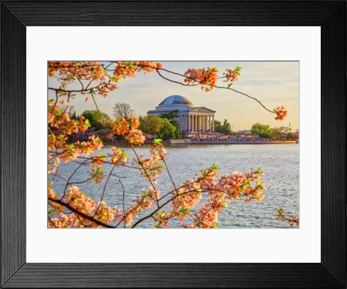 Framed Print : Washington, D.C. Jefferson Memorial During Springtime Framed Print : Washington, D.C. Jefferson Memorial During Springtime