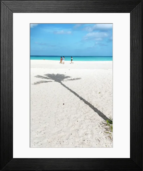 Framed Print : Aruba, Eagle beach Palm tree shadow on sandy beach