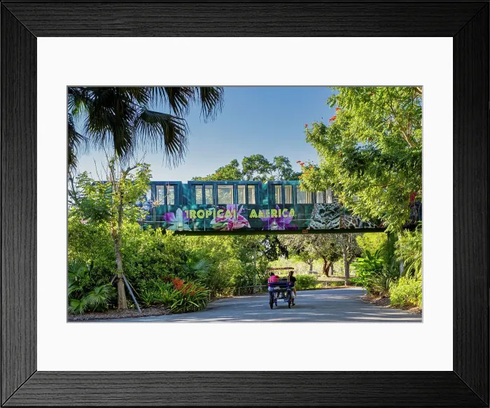 Framed Print : Florida, South Florida, Miami, Miami Zoo, monorail Framed Print : Florida, South Florida, Miami, Miami Zoo, monorail