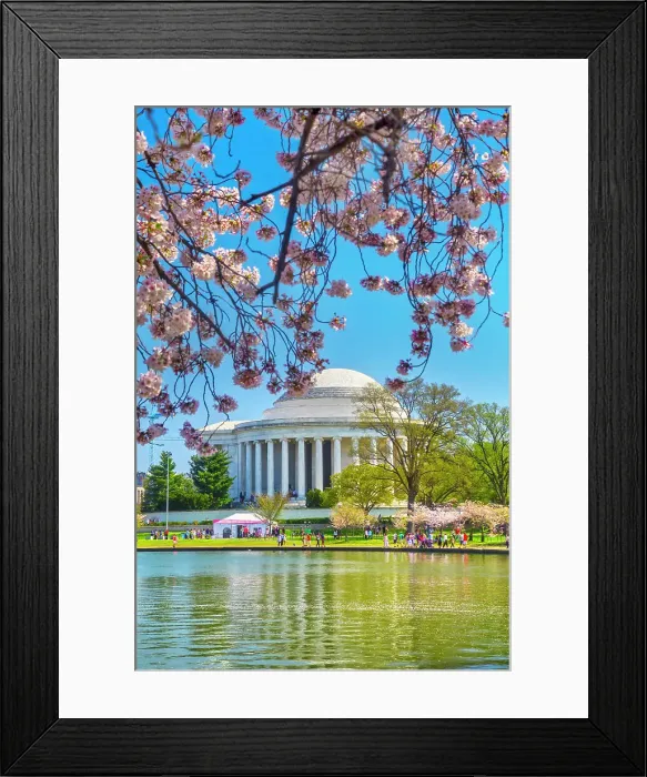 Framed Print : Washington, D.C. Jefferson Memorial During Springtime