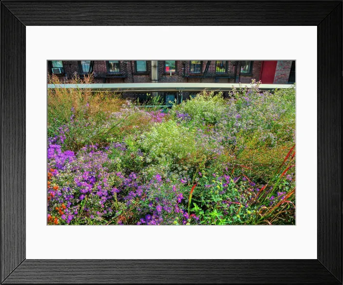 Framed Print : New York City, Manhattan, High Line Elevated Park plantings Framed Print : New York City, Manhattan, High Line Elevated Park plantings