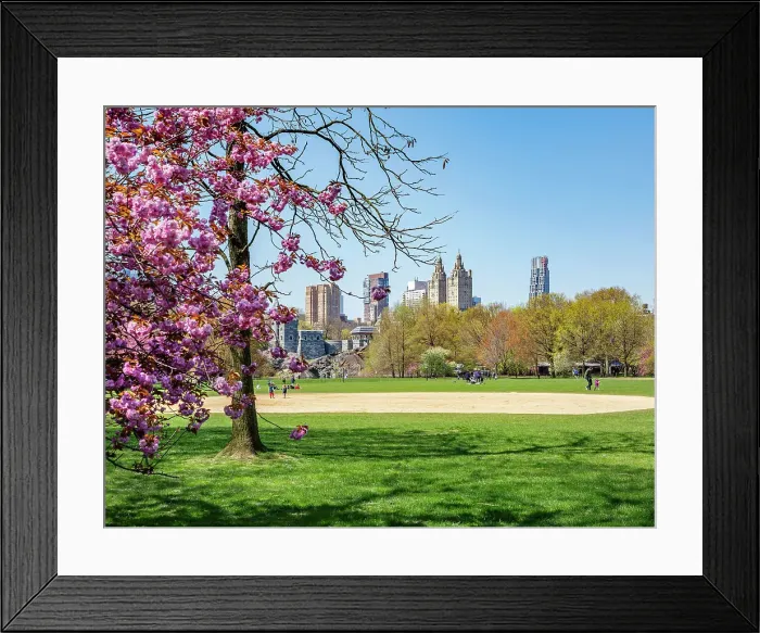 Framed Print : New York City, Manhattan, Central Park, The Mall Framed Print : New York City, Manhattan, Central Park, The Mall