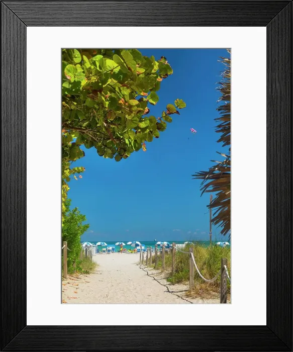 Framed Print : Florida, Miami, South Beach, scene at South Miami Beach