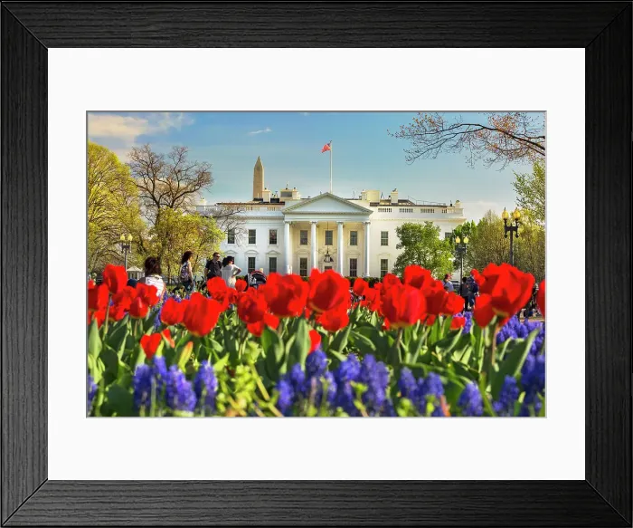 Framed Print : Washington, D.C. The White House Framed Print : Washington, D.C. The White House