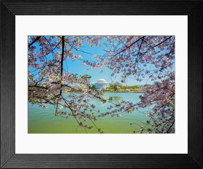 Framed Print : Washington, D.C. Jefferson Memorial During Springtime