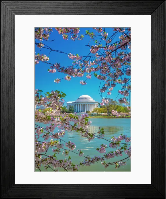 Framed Print : Washington, D.C. Jefferson Memorial During Springtime