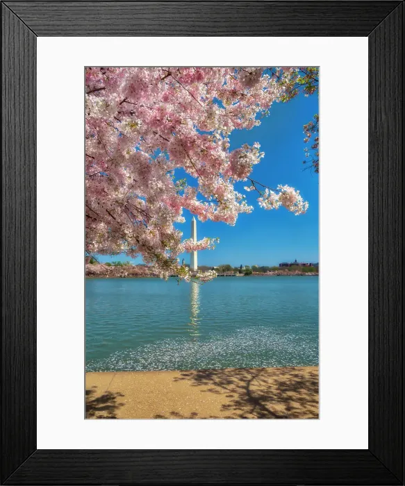 Framed Print : Washington, D.C. Washington Monument During Springtime