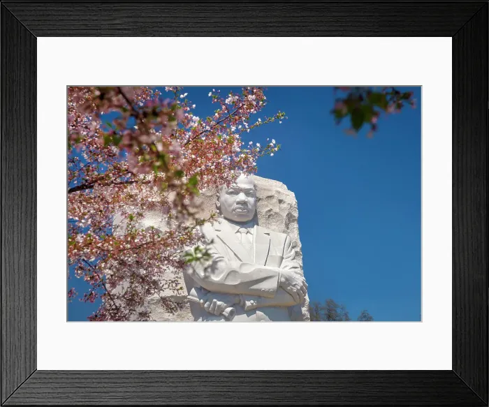 Framed Print : Washington, D.C. Martin Luther King Jr. Memorial During Springtime Framed Print : Washington, D.C. Martin Luther King Jr. Memorial During Springtime