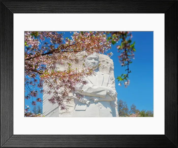 Framed Print : Washington, D.C. Martin Luther King Jr. Memorial During Springtime Framed Print : Washington, D.C. Martin Luther King Jr. Memorial During Springtime