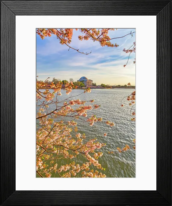 Framed Print : Washington, D.C. Jefferson Memorial During Springtime